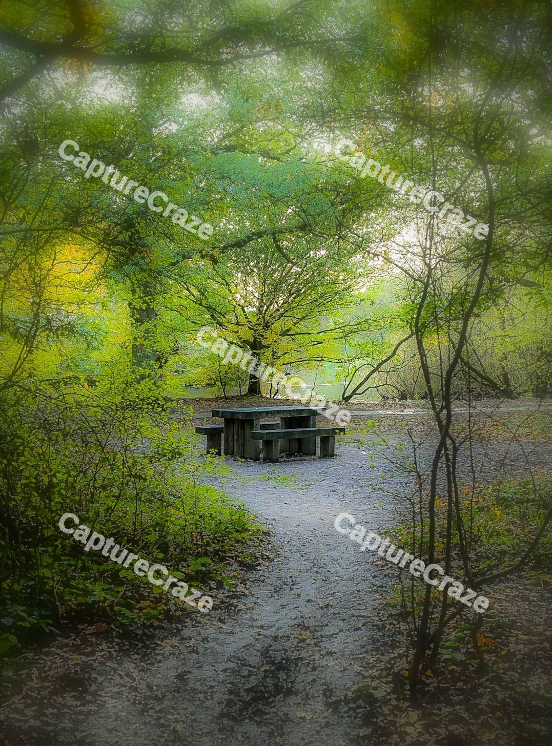 Park Bench